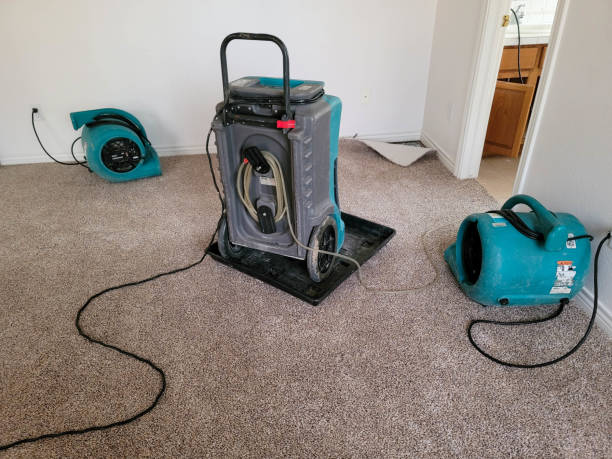 Best Basement water damage restoration  in Eagle Mountain, UT