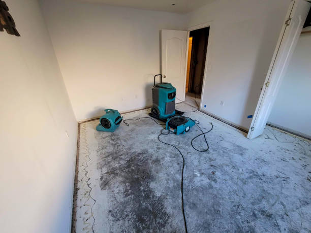 Best Flooded house restoration  in Eagle Mountain, UT
