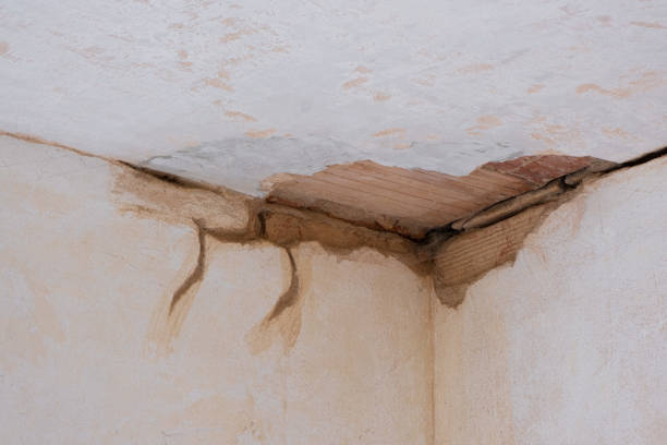 Best Mold removal after water damage  in Eagle Mountain, UT