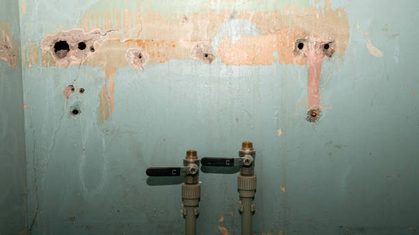 Best Carpet water damage restoration  in Eagle Mountain, UT
