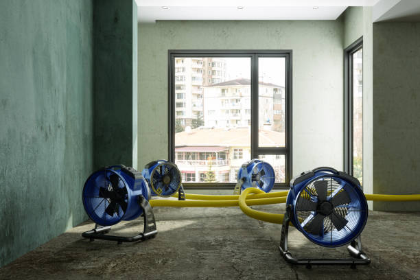 Best Water damage restoration near me  in Eagle Mountain, UT